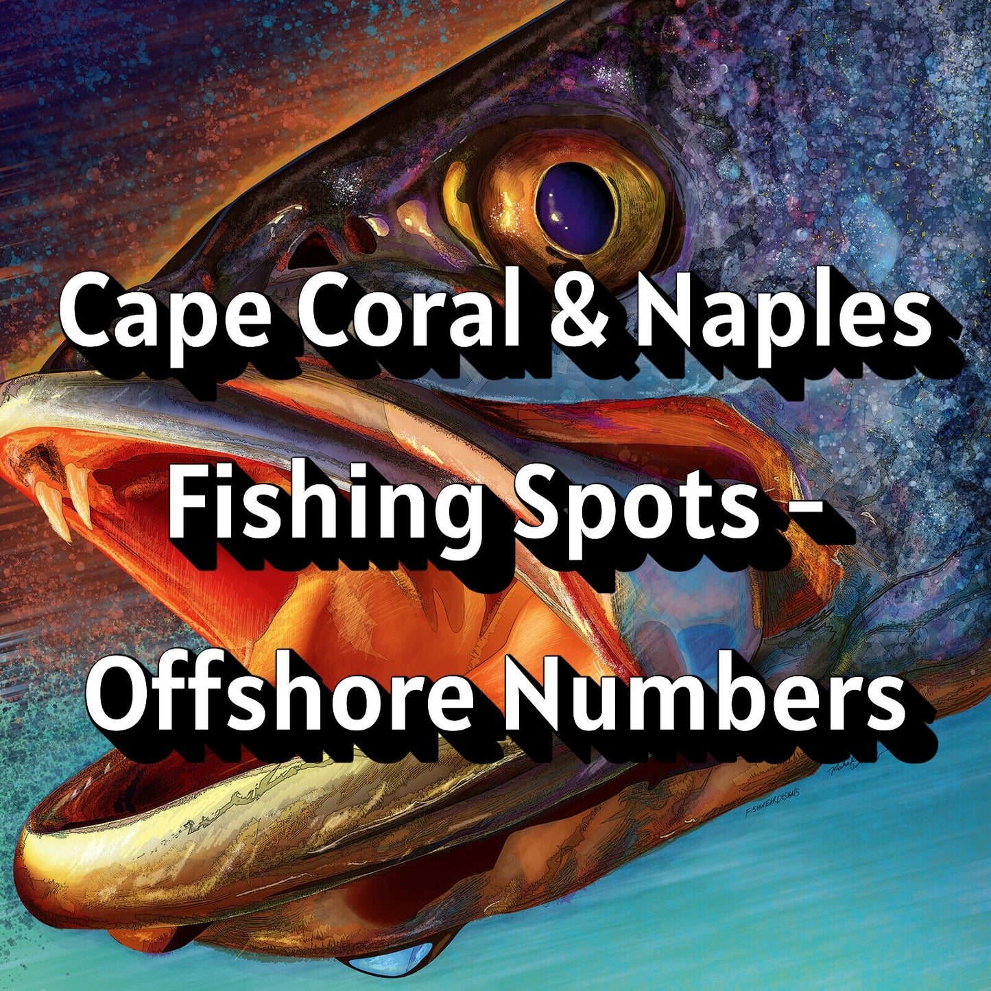 Cape Coral & Naples Fishing Spots - Offshore Numbers