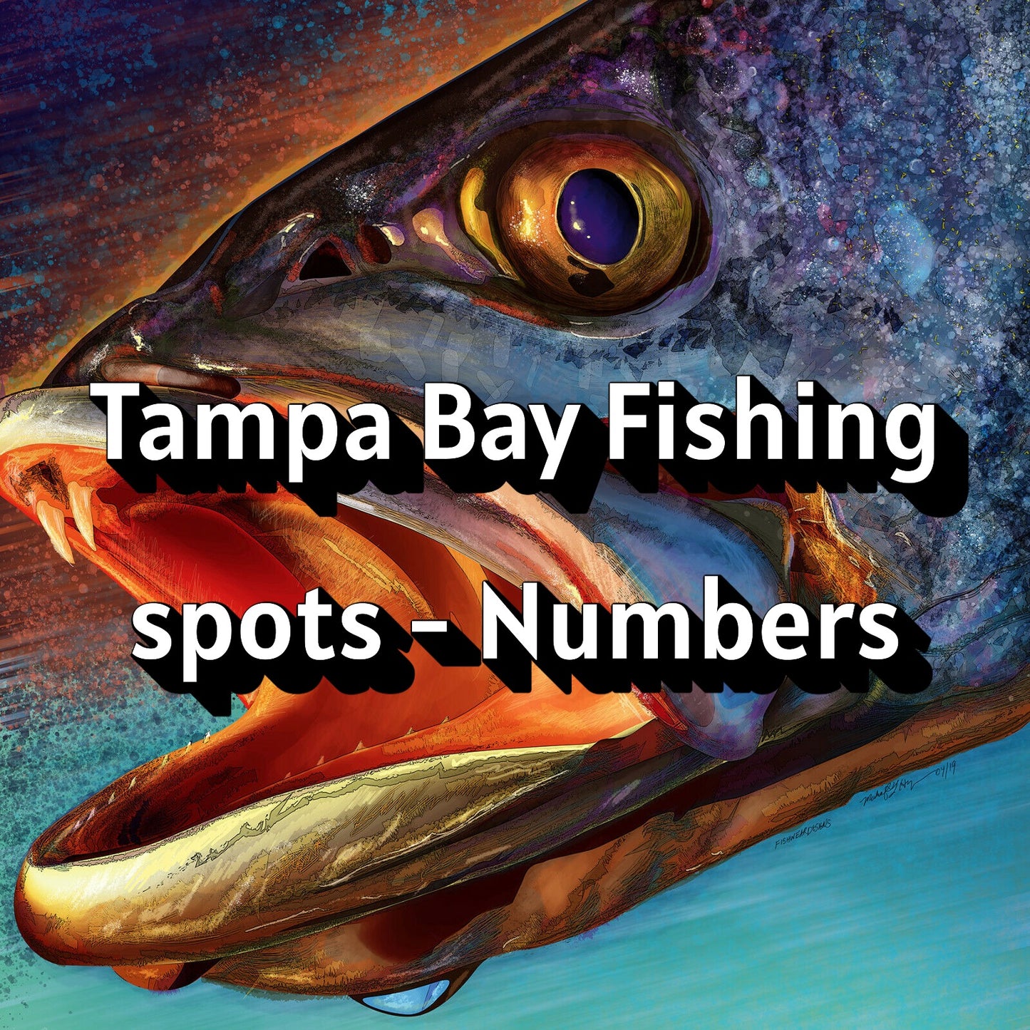 Tampa Bay Fishing spots - Numbers