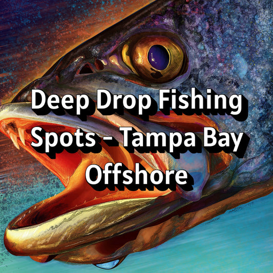 Deep Drop Fishing Spots - Tampa Bay Offshore