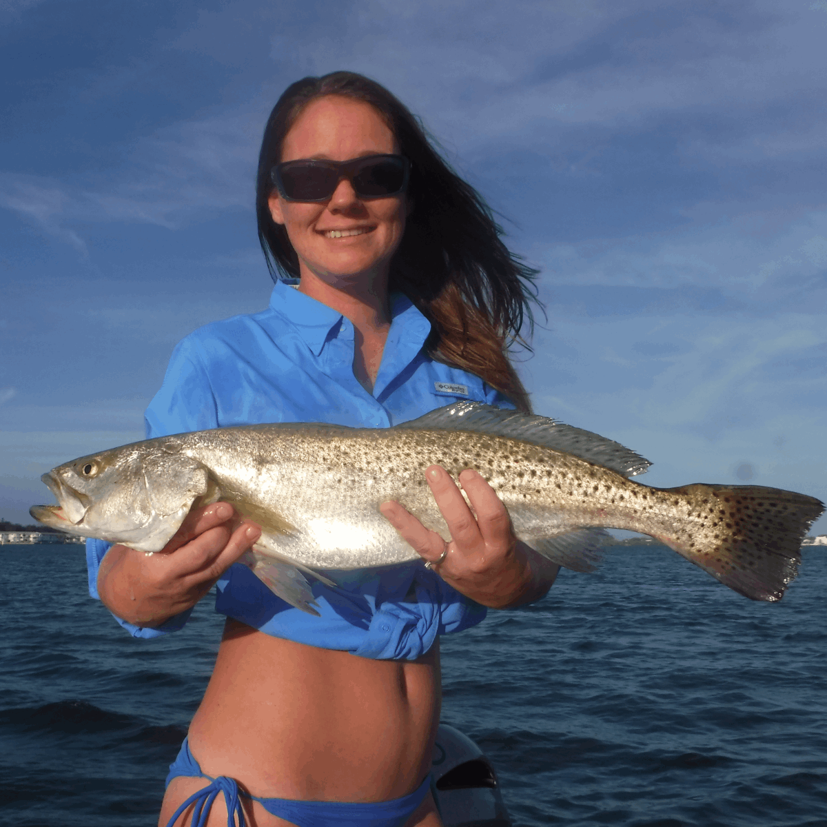Venice. Florida Fishing Spots - Nearshore Numbers