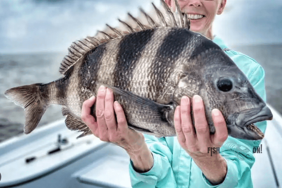 Biscayne Bay Fishing Spots - Numbers